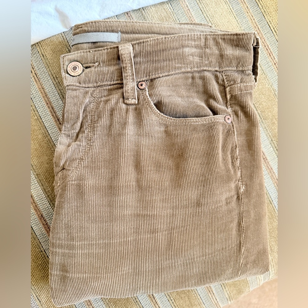 VINCE Tan Skinny Pants
